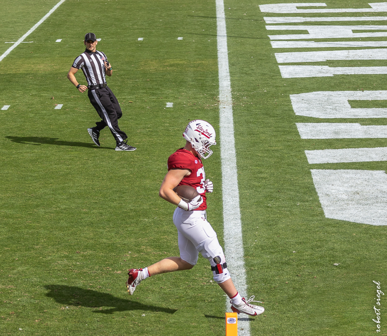 stanford football 2024